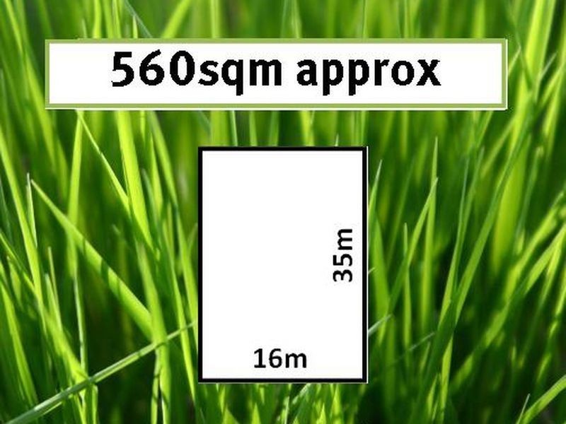 11 Olivebank Crescent, Cranbourne North VIC 3977