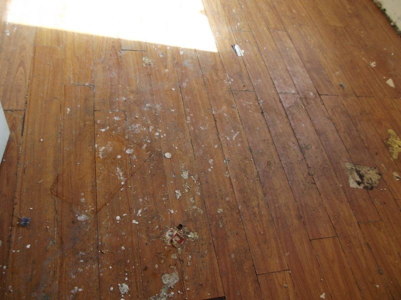 31 Hazelwood Avenue, Cranbourne North VIC 3977