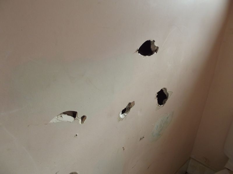 31 Hazelwood Avenue, Cranbourne North VIC 3977