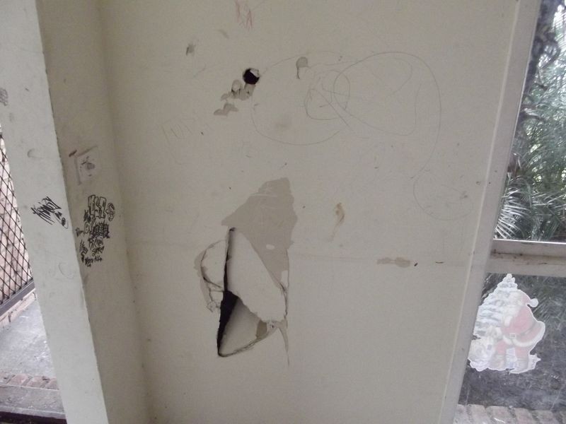 31 Hazelwood Avenue, Cranbourne North VIC 3977