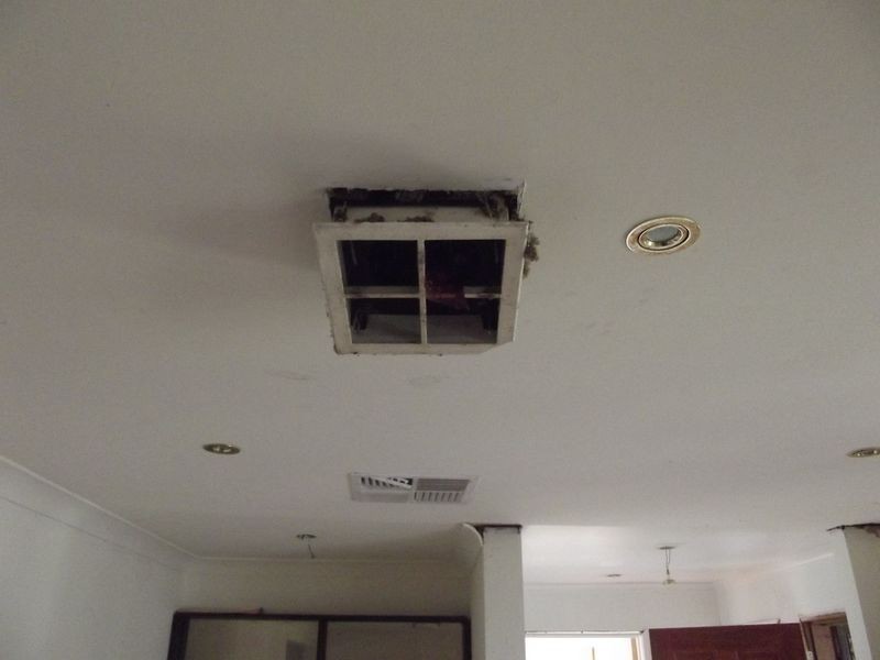 31 Hazelwood Avenue, Cranbourne North VIC 3977