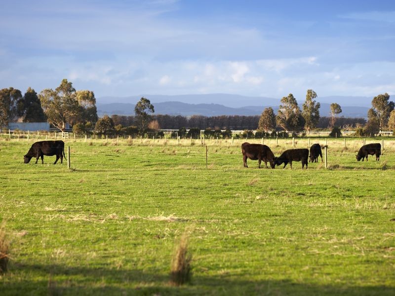 650 McGregor Road, Rythdale VIC 3810