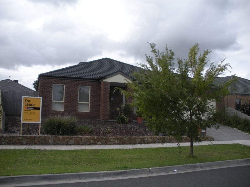 6 Devaney Avenue, Lynbrook VIC 3975