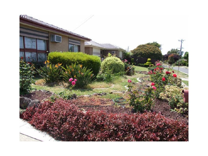 19 Purley Drive, Dandenong North VIC 3175