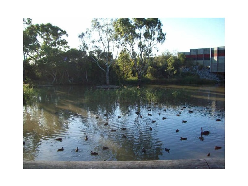 55 Gunns Road, Hallam VIC 3803