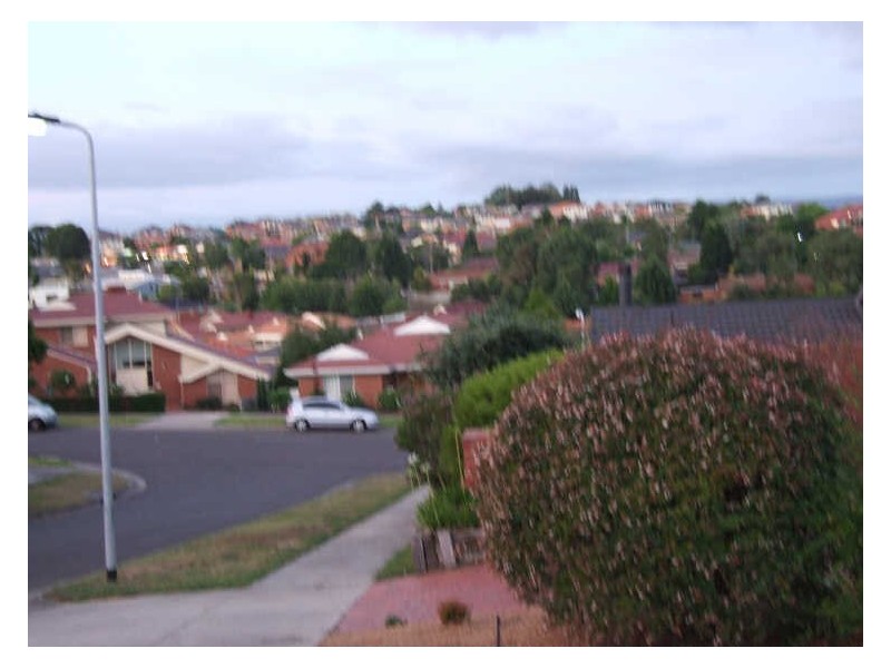 1 Landsborough Close, Endeavour Hills VIC 3802
