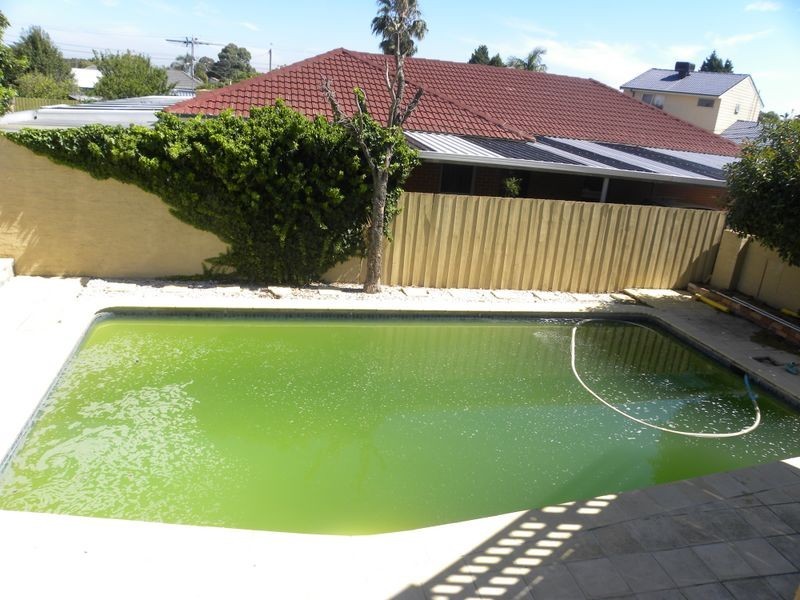 21 Cotswold Crescent, Springvale South VIC 3172