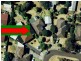 11 Gumbuya Close, Eumemmerring VIC 3177