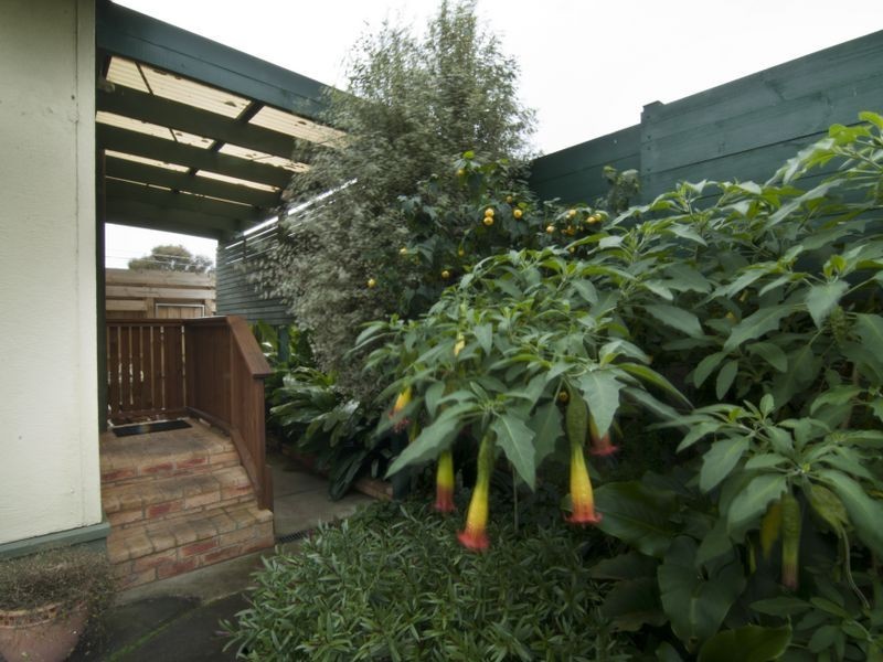36 McFees Road, Dandenong North VIC 3175