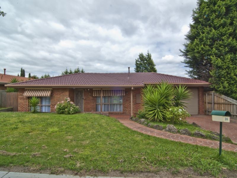 36 Arthur Phillip Drive, Endeavour Hills VIC 3802