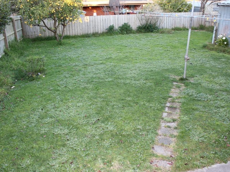 19 Holly Avenue, Dandenong North VIC 3175