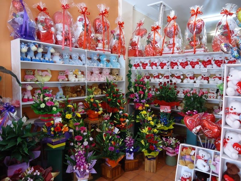 Dandenong North VIC 3175