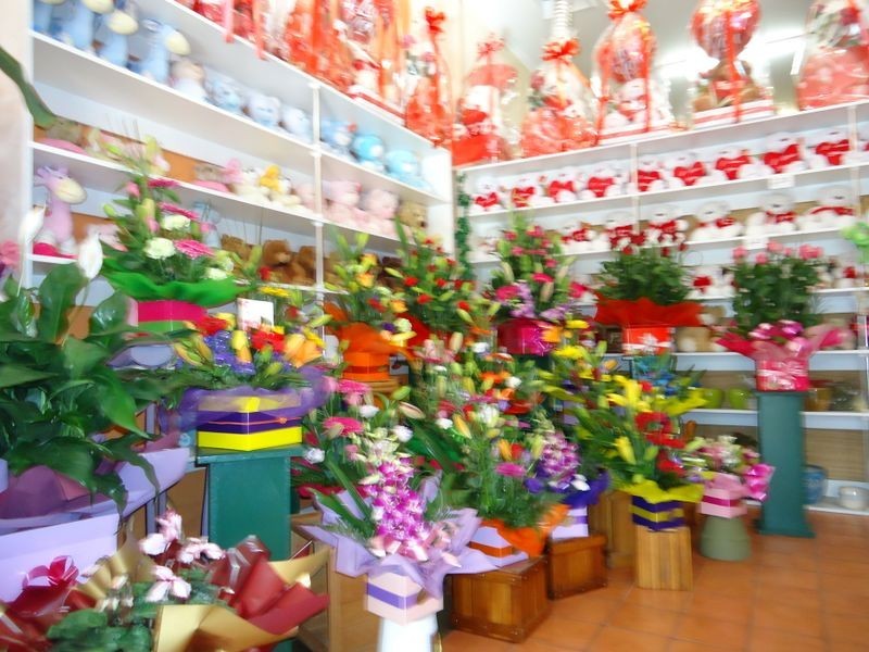 Dandenong North VIC 3175