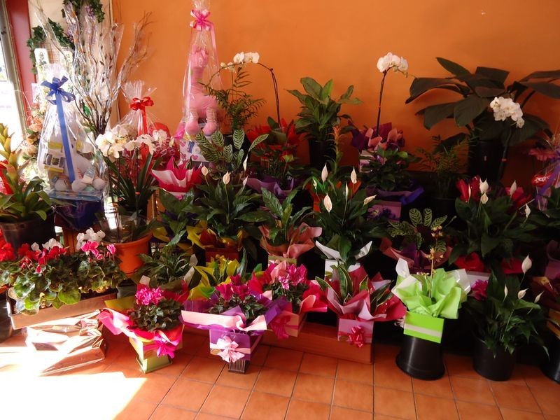 Dandenong North VIC 3175