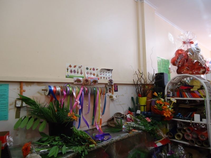 Dandenong North VIC 3175