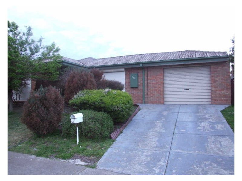 55 Horizon Boulevard, Hampton Park VIC 3976