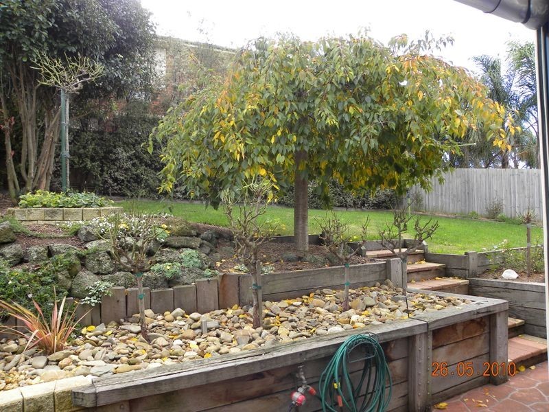 50 Ryelands Drive, Narre Warren VIC 3805