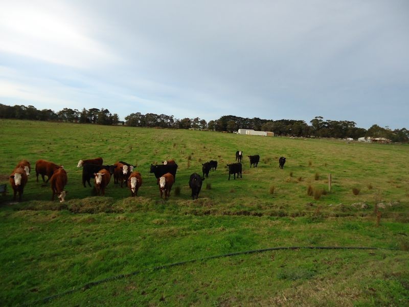 494 Eleven Mile Road, Cora Lynn VIC 3814