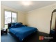 49 Daniel Solander Drive, Endeavour Hills VIC 3802