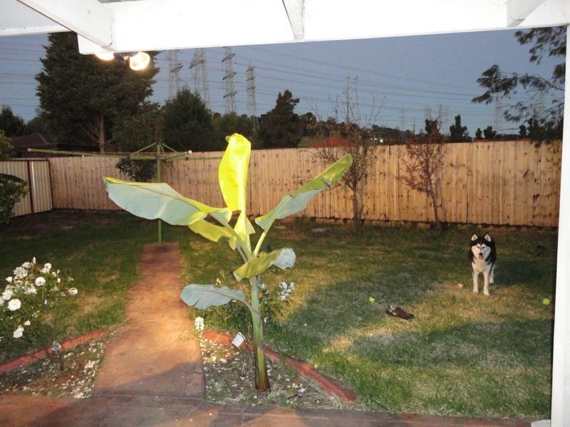 15 Montrose Court, Endeavour Hills VIC 3802