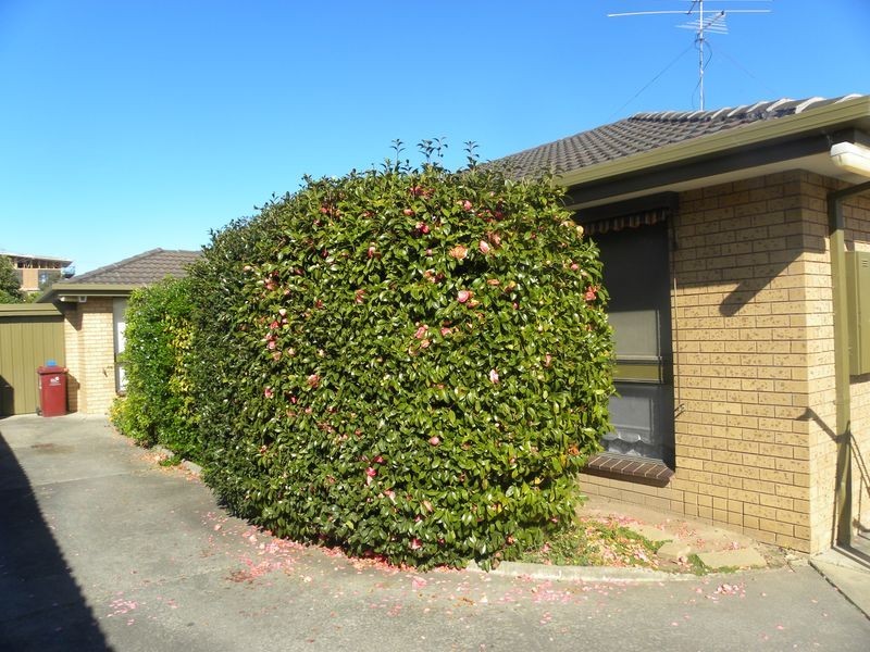 2/17 Rodd Street, Dandenong VIC 3175