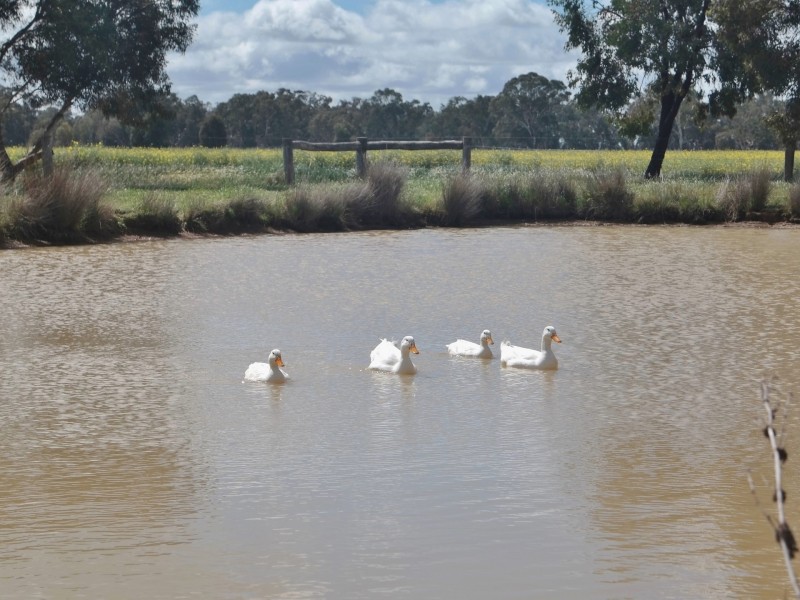 7640 Northern Highway, Echuca VIC 3564