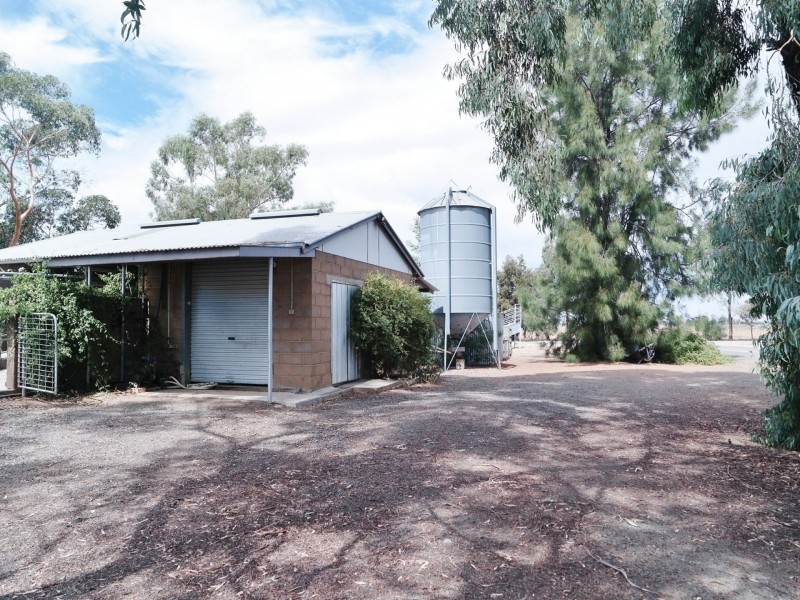 61 Stone Lane, Rochester VIC 3561