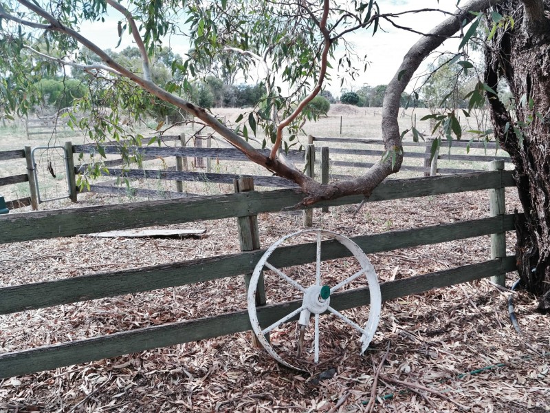 61 Stone Lane, Rochester VIC 3561