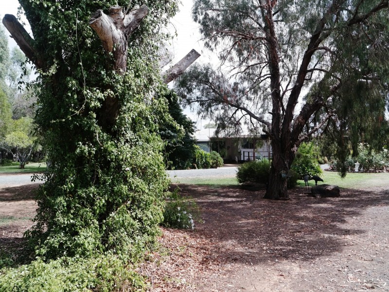 61 Stone Lane, Rochester VIC 3561