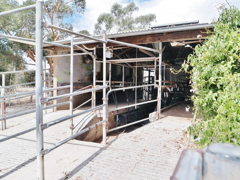 61 Stone Lane, Rochester VIC 3561