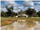 1477 Mount Terricks Road, Echuca VIC 3564