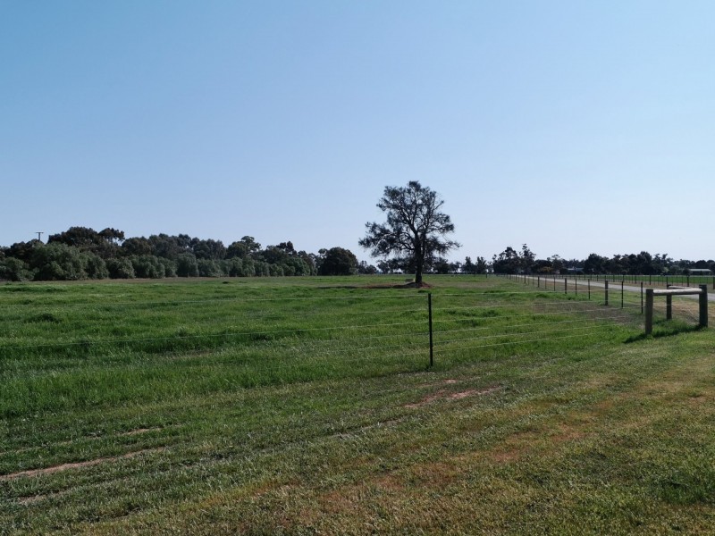 1477 Mount Terricks Road, Echuca VIC 3564