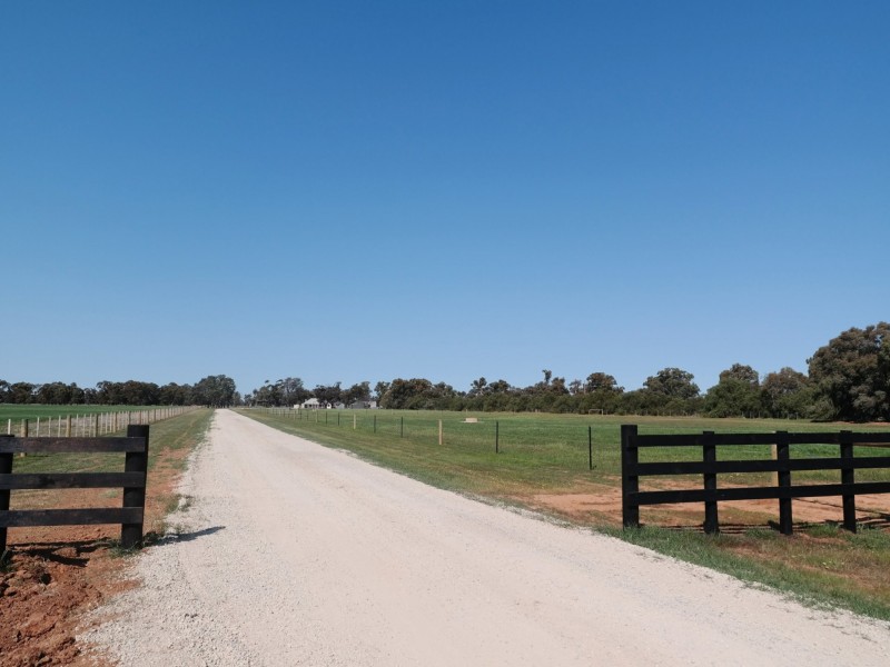 1477 Mount Terricks Road, Echuca VIC 3564