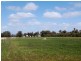 1477 Mount Terricks Road, Echuca VIC 3564