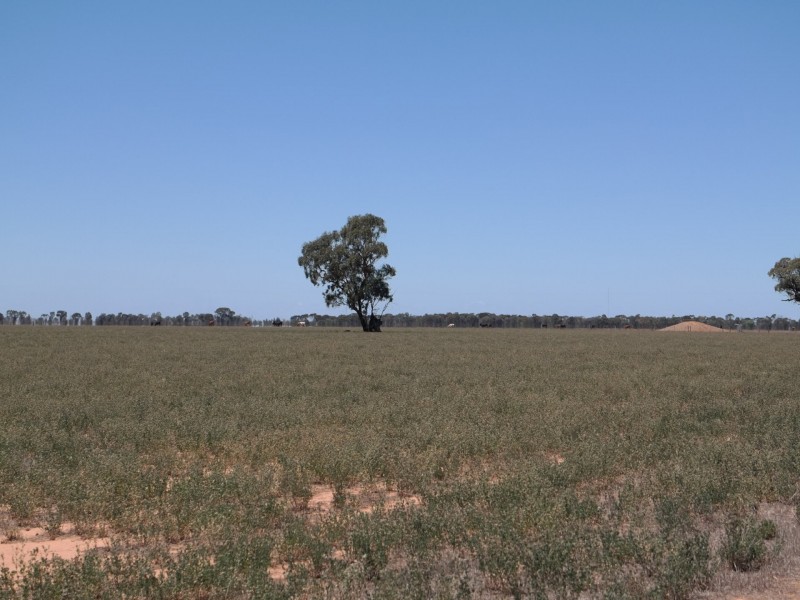 0 Carroll Road, Echuca VIC 3564