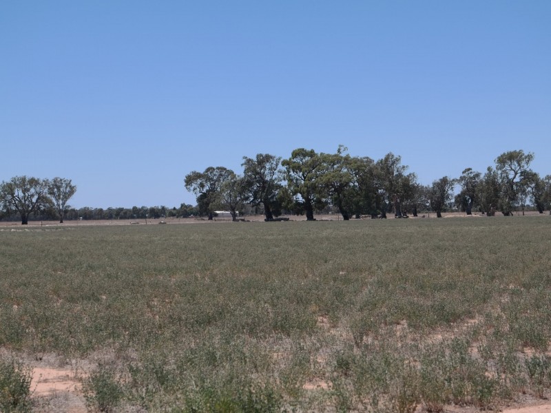 0 Carroll Road, Echuca VIC 3564