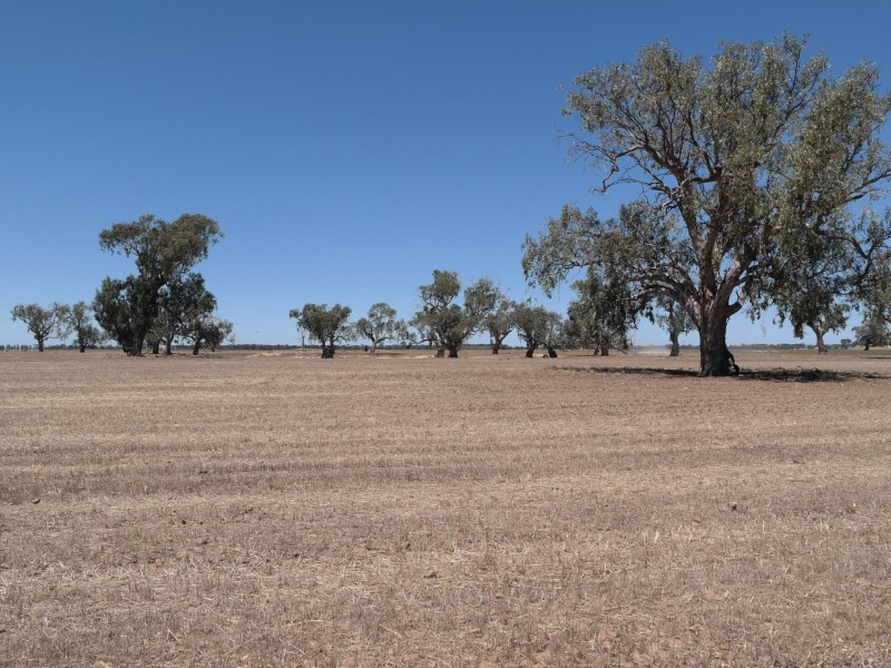 0 Carroll Road, Echuca VIC 3564