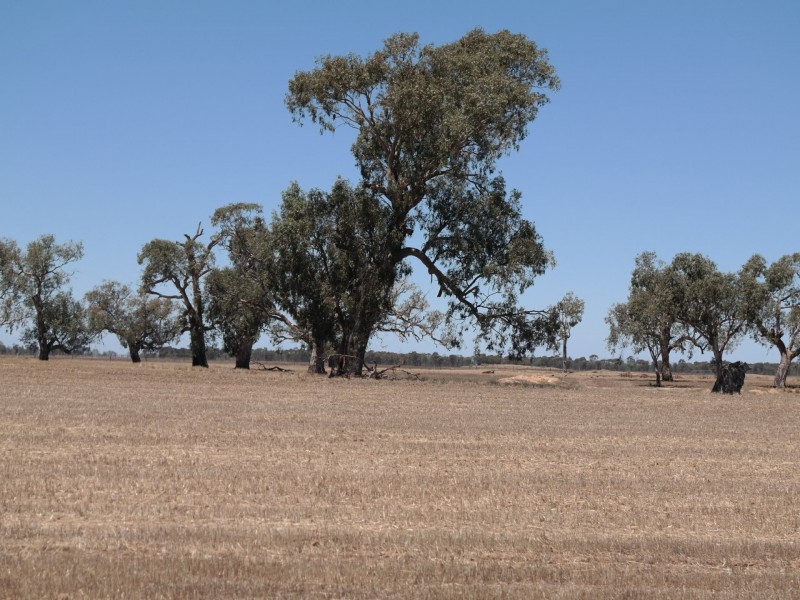 0 Carroll Road, Echuca VIC 3564