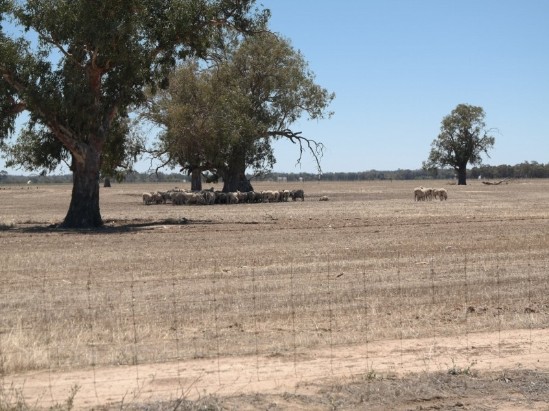 0 Carroll Road, Echuca VIC 3564