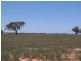 0 Carroll Road, Echuca VIC 3564