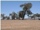 0 Carroll Road, Echuca VIC 3564