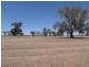 0 Carroll Road, Echuca VIC 3564