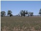 0 Carroll Road, Echuca VIC 3564