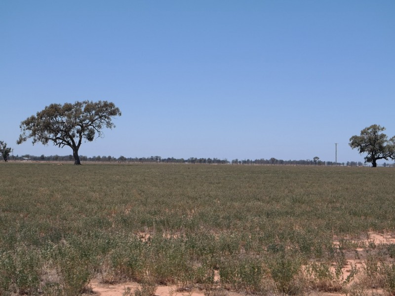 0 Carroll Road, Echuca VIC 3564