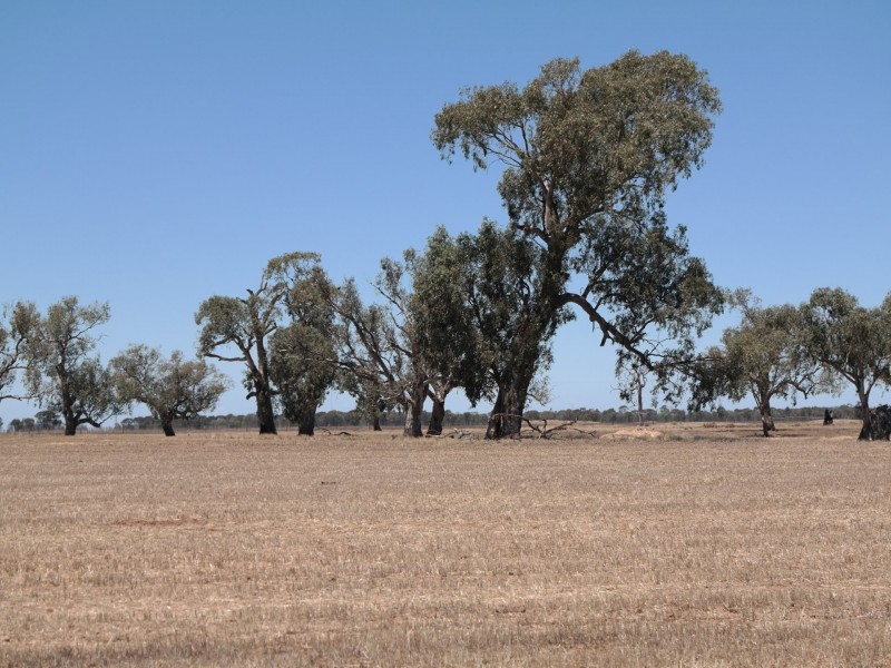 0 Carroll Road, Echuca VIC 3564