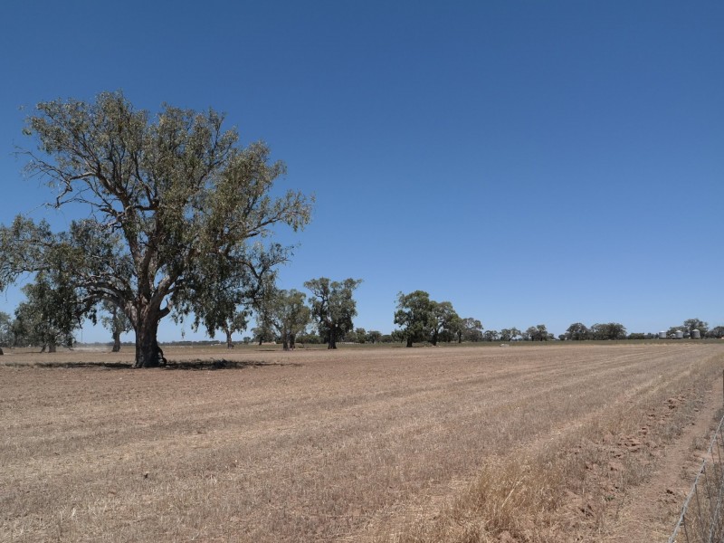 0 Carroll Road, Echuca VIC 3564