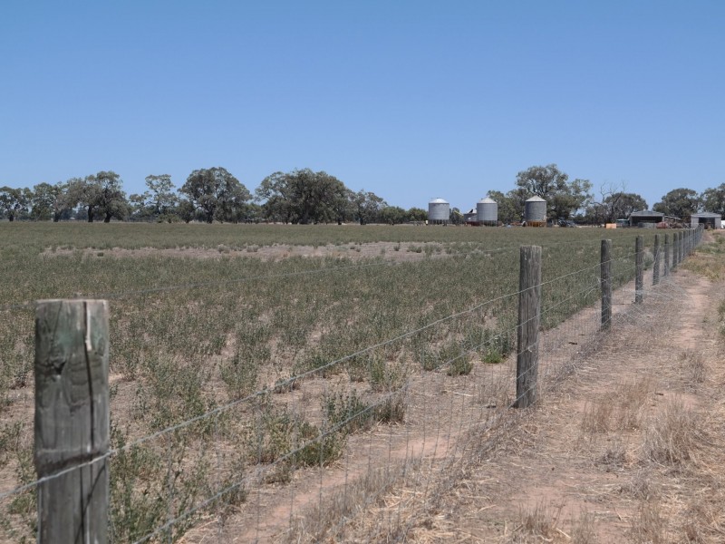 0 Carroll Road, Echuca VIC 3564