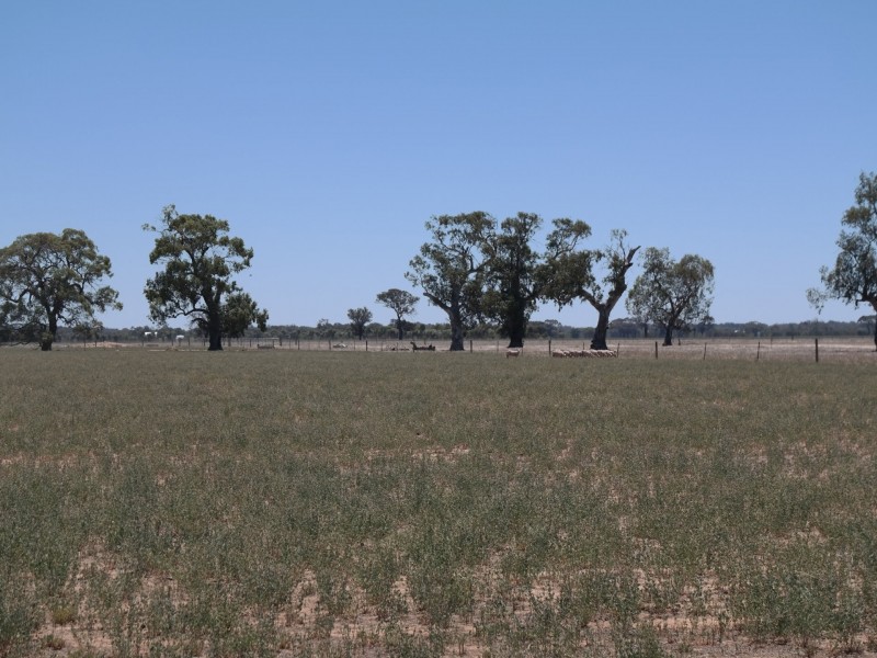 0 Carroll Road, Echuca VIC 3564