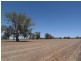 0 Carroll Road, Echuca VIC 3564