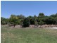 11 Rivergums Drive, Moama NSW 2731